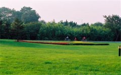 網(wǎng)絡(luò)化空氣監(jiān)測站監(jiān)測哪些參數(shù)？